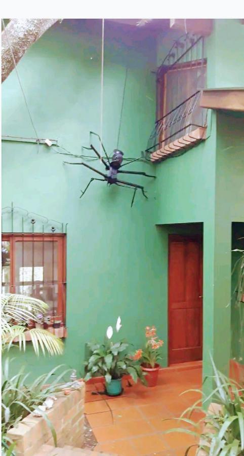 Jardin De Naipi 3 Apartment Puerto Iguazu Bagian luar foto